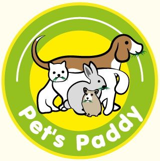 สินค้าราคาพิเศษ SALE49%