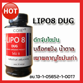 lypo-8ผ่านการรับรองของ-อย.น้ำหนักลด-สัดส่วนลด