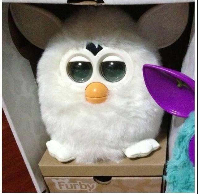 Furby (เฟอร์บี้)แท้