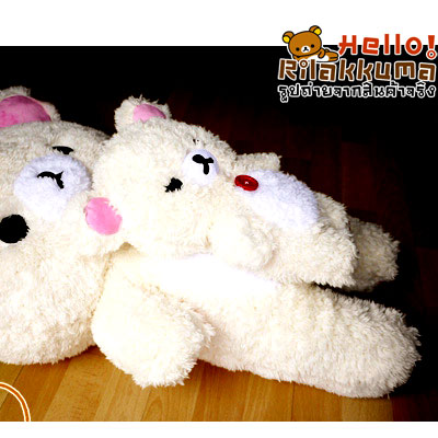 ทุบราคา-ตุ๊กตาหมีโคริ-คุมะ-มีซิปหลัง-น่าสะสม-bear-toy-doll