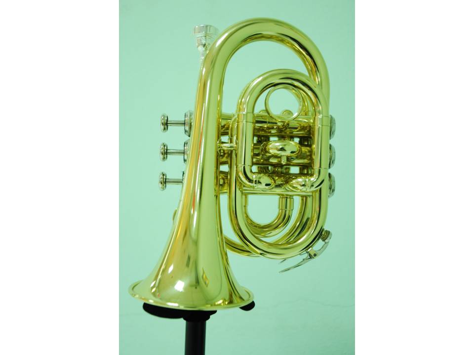-ขาย-pocket-trumpet-สีทอง-ยี่ห้อ-zeff--รุ่น-ztr-300l
