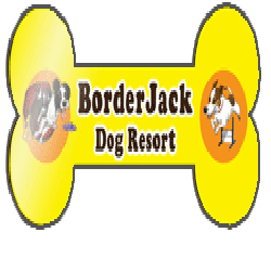 Border Jack