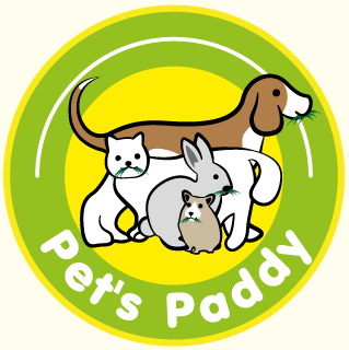 ก้อนปลูกข้าวสาลีpets-paddyราคา1บาทถูกกว่านี้ไม่มีอีกแล้ว-เ