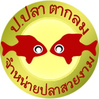 ร้านขายปลา-ป.ปลาตากลม-บางแสน-จำหน่ายปลาสวยงาม