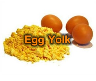 ไข่แดง (Yolk
