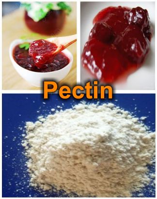 เพคติน (pectin)