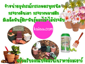 ร้านไก่อู-จำหน่ายอุปกรณ์การเกษตรทุกชนิด-กระถางดินเผา-กระถางพ