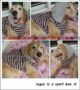 ร้าน-things-for-dog-ขายผ้ายางกันลื่น-เสื้อหมาใหญ่-ฯลฯ-จัดส่ง