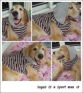 Things-For-Dog ขายผ้ายางกันลื่น