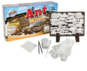 กล่องเลี้ยงมด Ant
