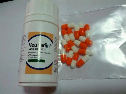 ขายยา-vetmedin-ยาโรคหัวใจสำหรับสุนัขตัวยา-pimobendan-5-mg-ch