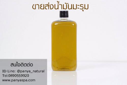 -moringa-oil--ขายส่งน้ำมันมะรุม