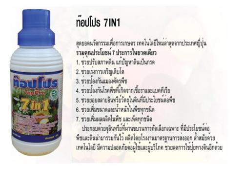 7in1ปุ๋ยน้ำตอบโจทย์ทุกปัญหา-ทางเลือกใหม่สำหรับคนปลูกผัก-คลิ๊