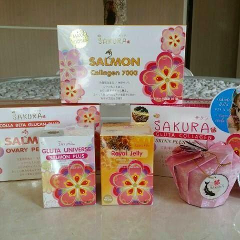 sakura-ลงทุนต่ำผลตอบแทนรายได้สูง