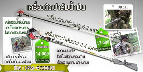 ขายเครื่องตัดปาล์ม-หัวเกียร์ออกแบบมาเป็นพิเศษสำหรับงานหนัก