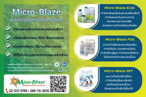 micro-blaze-จุลินทรีย์สำหรับกำจัดกลิ่นเหม็น-ช่วยย่อยสลายสิ่ง