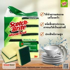 ผลิตภัณฑ์สก๊อตไบรท์-3m--