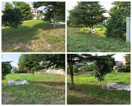 ขายที่ดิน-อำเภอเมืองพะเยา-1-ไร่-โฉนด-พร้อมโอน-โทร-0817830178