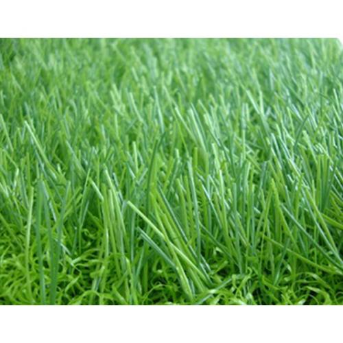 หญ้าเทียม-สีสดอ่อนใบหญ้าขนาดเล็ก-ตรม.ละ-350-บาท-dg-08838